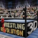 Wrestling Revolution 3D‏ APK